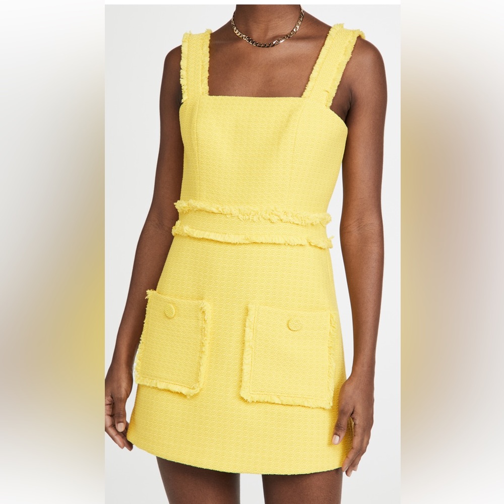 Alexis Jackie Mini Dress